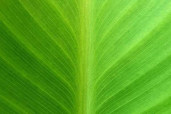 Professional spa analytics consultation